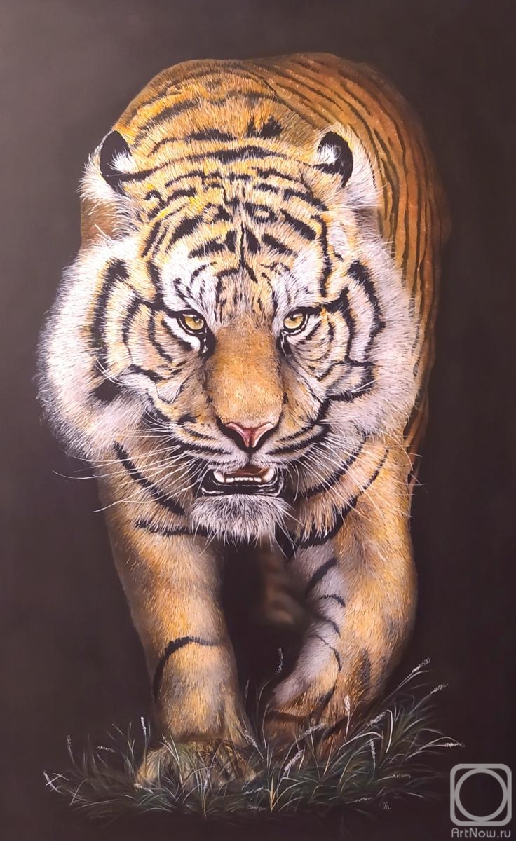 Litvinov Andrew. Tiger