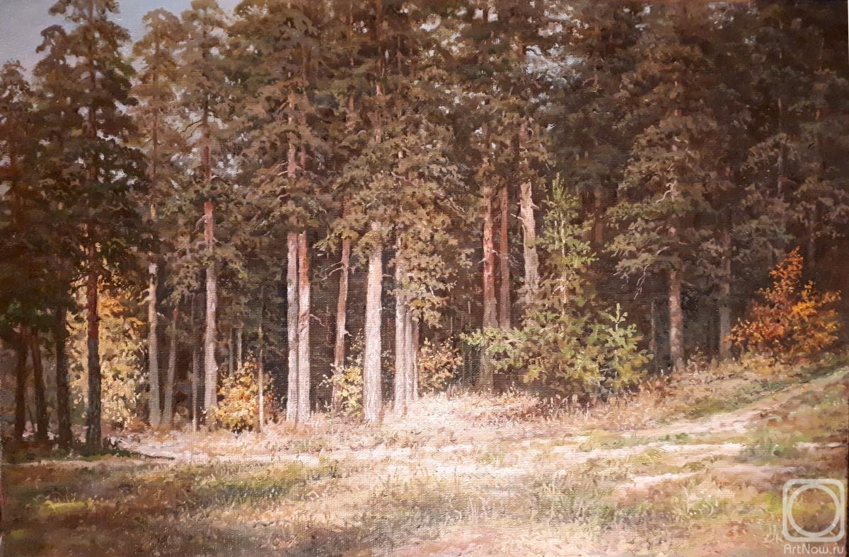 Kostin Vladimir. Pine