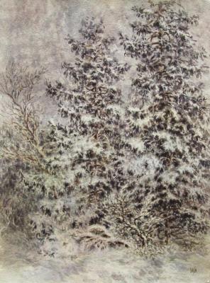 Winter spruce. Lomanova Irina