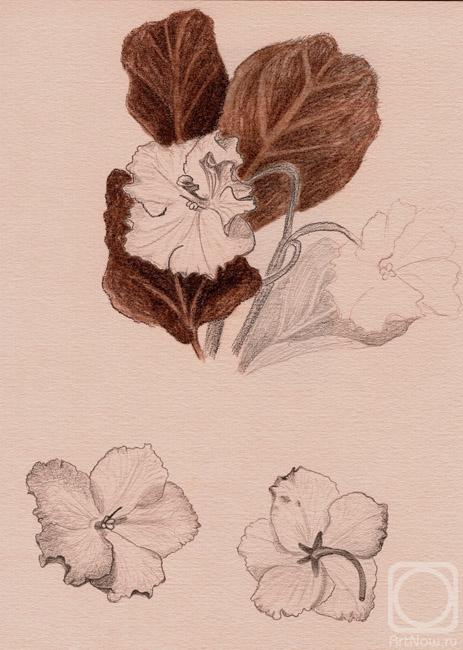 �������. ��������� ����. ������