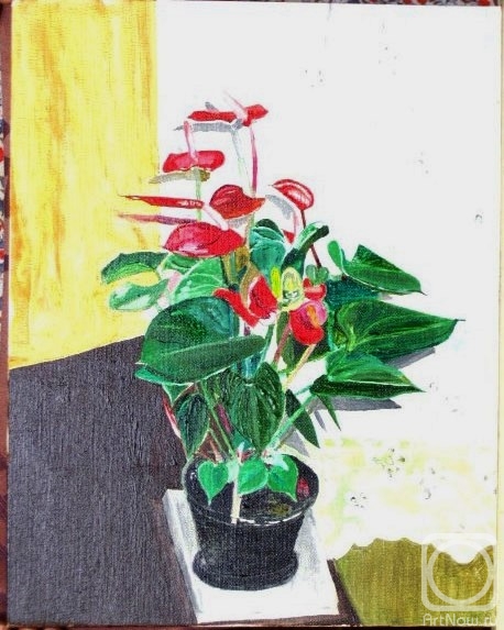 Vinogradova Nina. Amarillium flora
