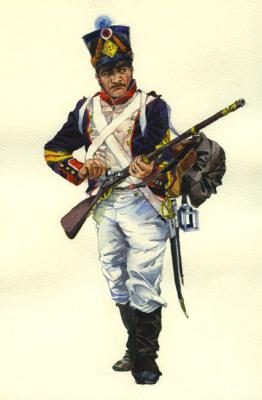 French Infantry Private, 1812. Sukhanov Oleg