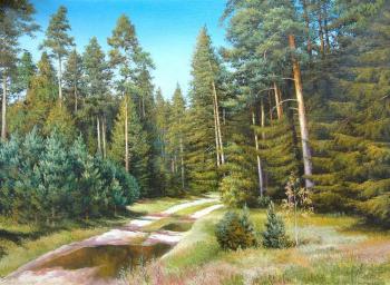 ������� �65 ����� �������