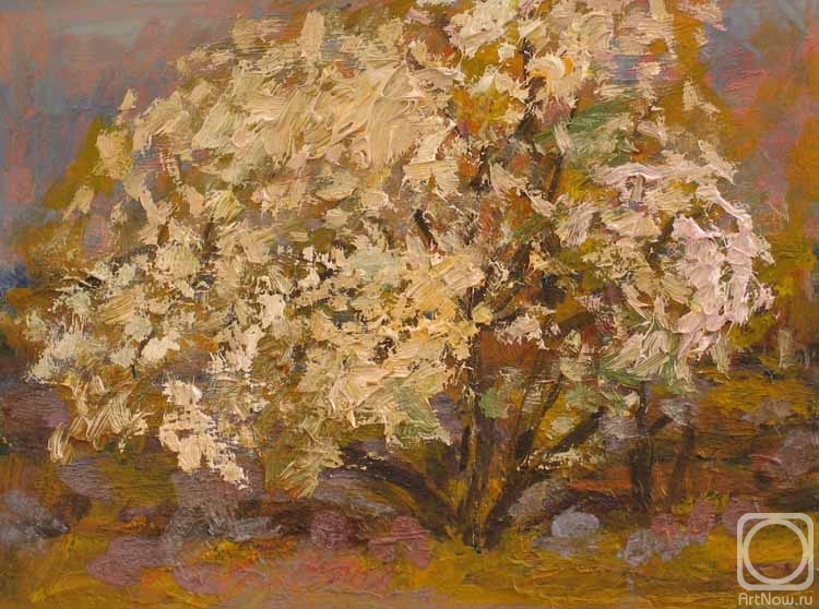 �������. ����� ���������. ��������