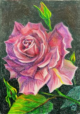 ������� �������� ����