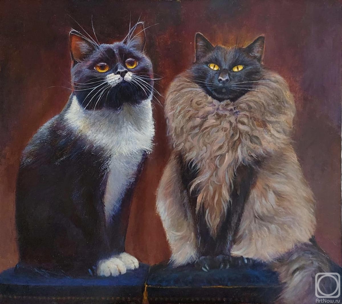 ������� ������ �� ������. ������ �����. ������� �������� ����