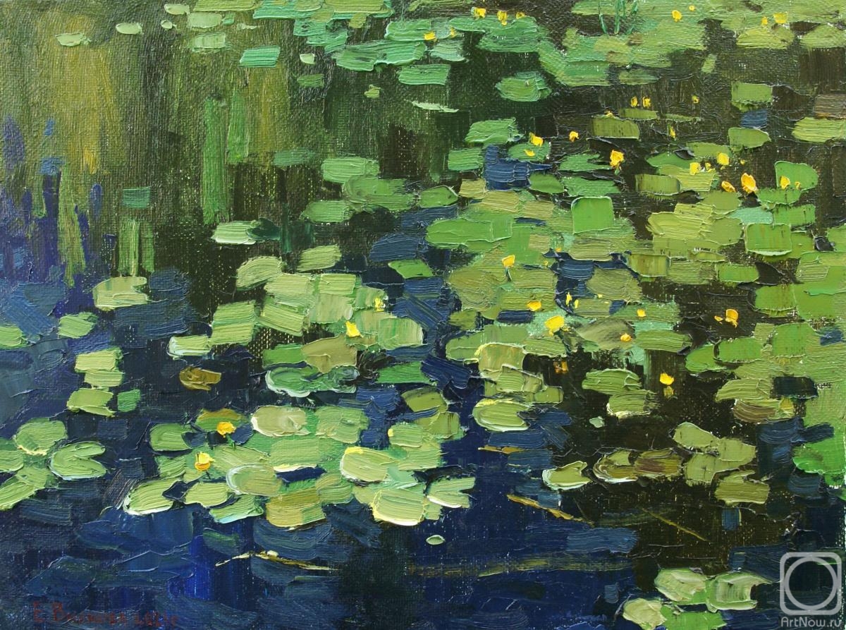 Vilkova Elena. Summer. Water lilies