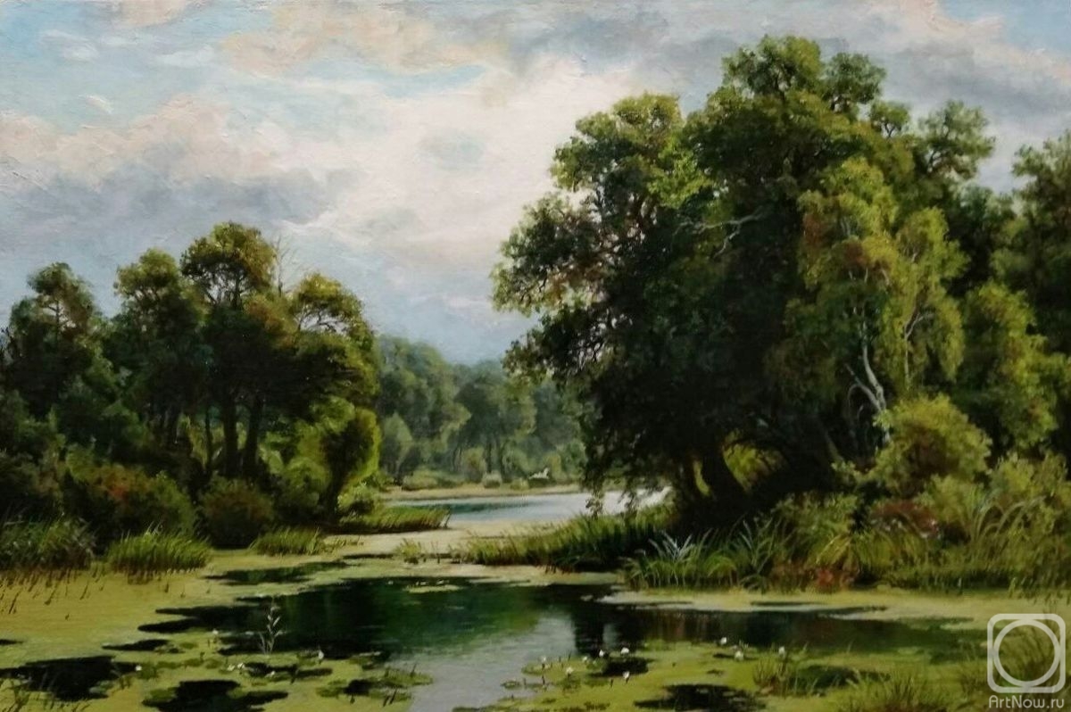 Tikunova Olga. Overgrown pond