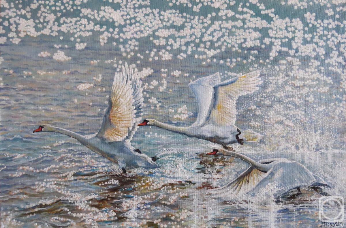 Tsygankov Alexander. Geese-swans