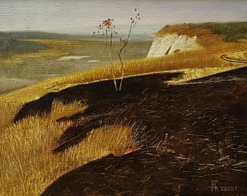 Black Earth. Gugkaev Chermen