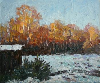 A study with the first snow
