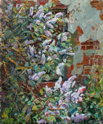 ����� �����. ������ ����