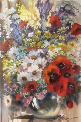 Poppies, daisies and meadows. Schubert Albina