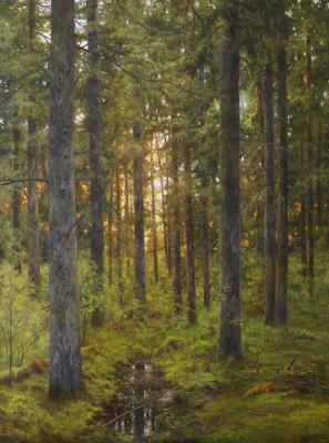 Serenade of the evening forest. Dorofeev Sergey