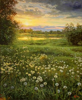 Dandelion meadow. Samokhvalov Alexander