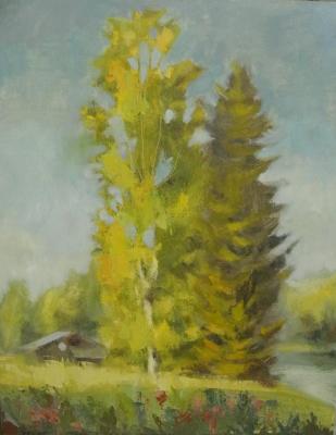 Na Akademichka. Mironenko Darya