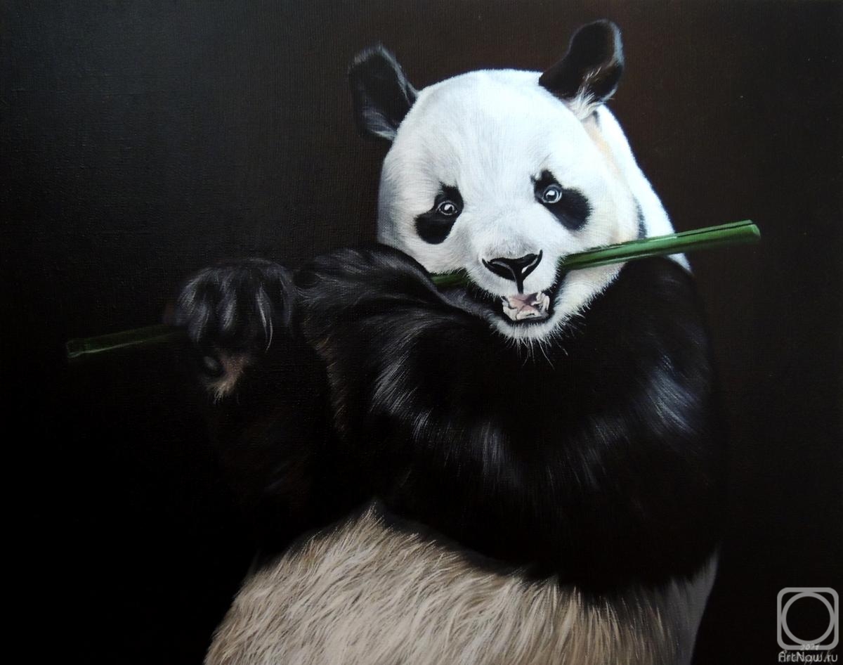 Charyev Kakadzhan. Panda with bamboo
