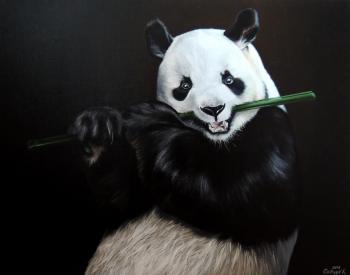 Panda with bamboo (Black Bear). Charyev Kakadzhan