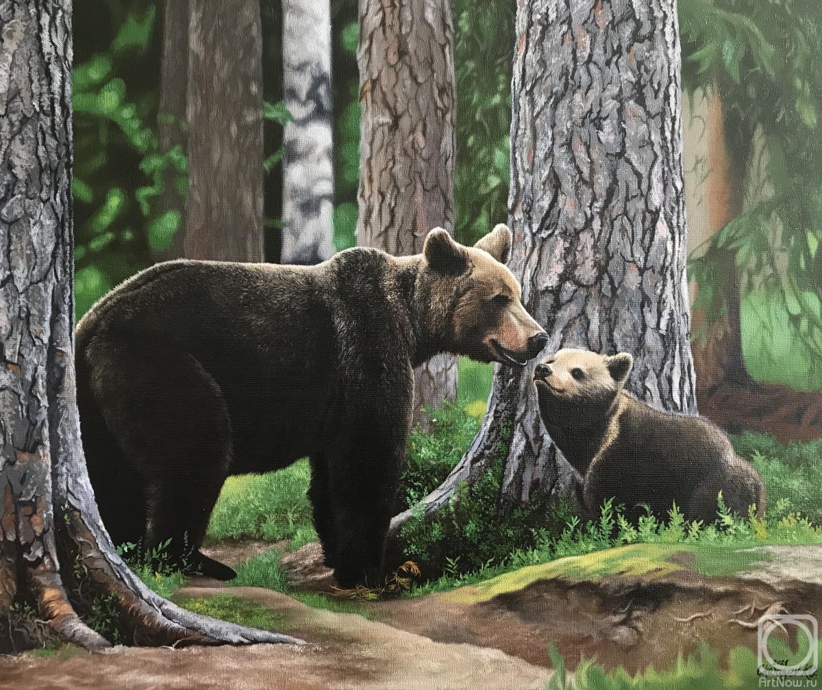 Charyev Kakadzhan. Bears in the coniferous forest