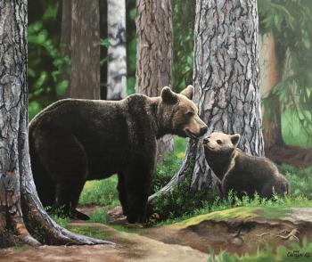 Bears in the coniferous forest (Brown Bear). Charyev Kakadzhan