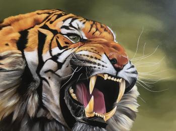 The tiger growls (). Charyev Kakadzhan