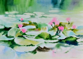 Water lilies. Water mirror