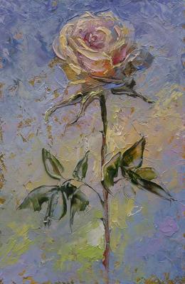 June rose. Iarovoi Igor