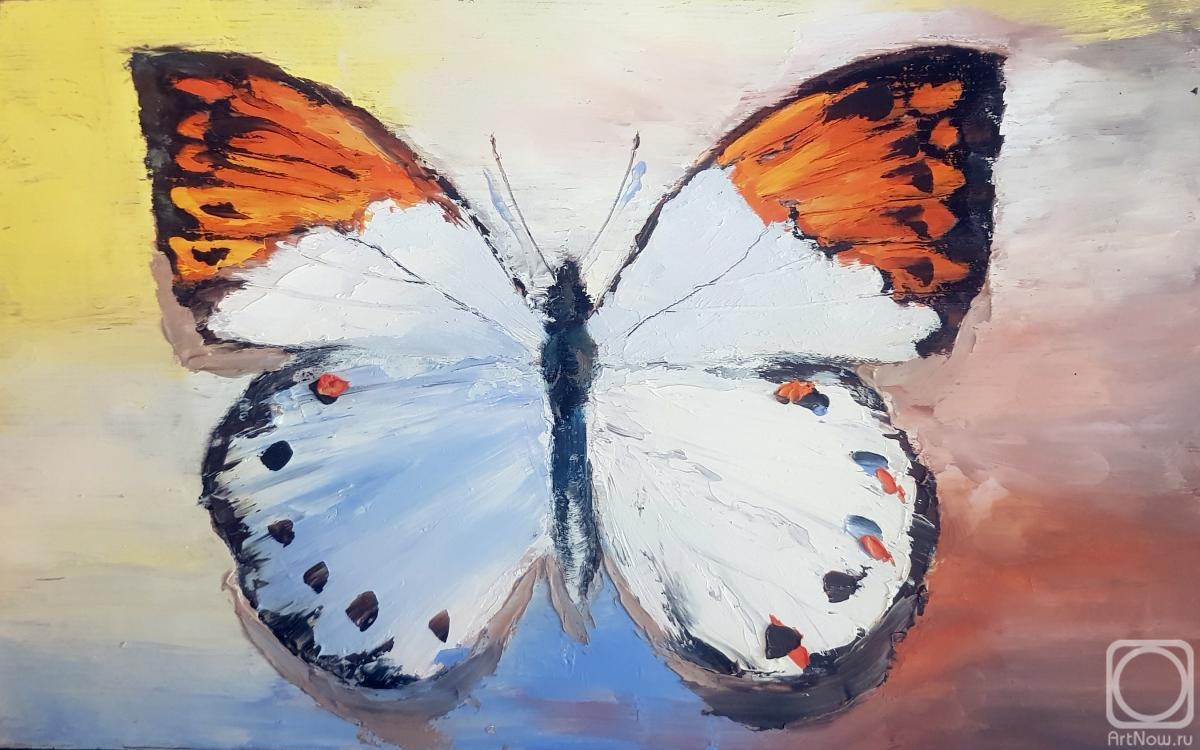Sharapova Olga. Butterfly Cardamine
