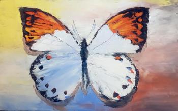 Butterfly Cardamine. Sharapova Olga