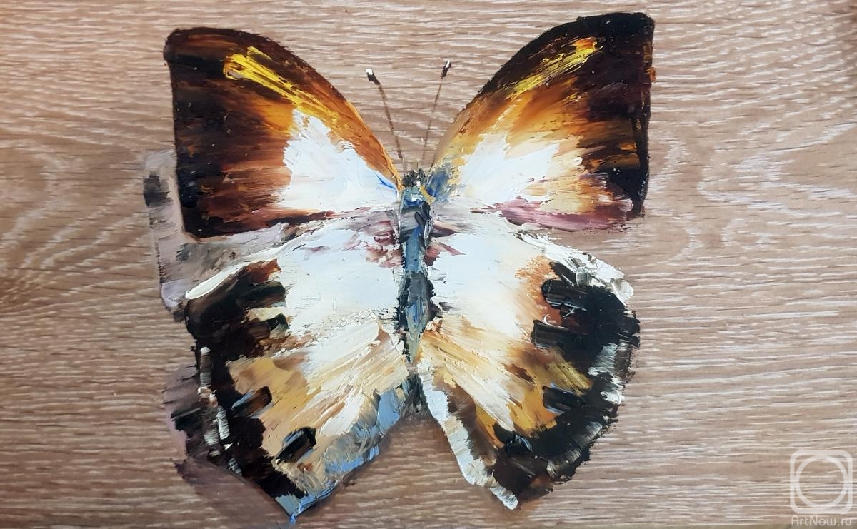 �������. �������� �����. �������-������ �������