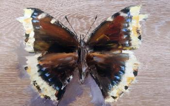 Black Butterfly. Sharapova Olga
