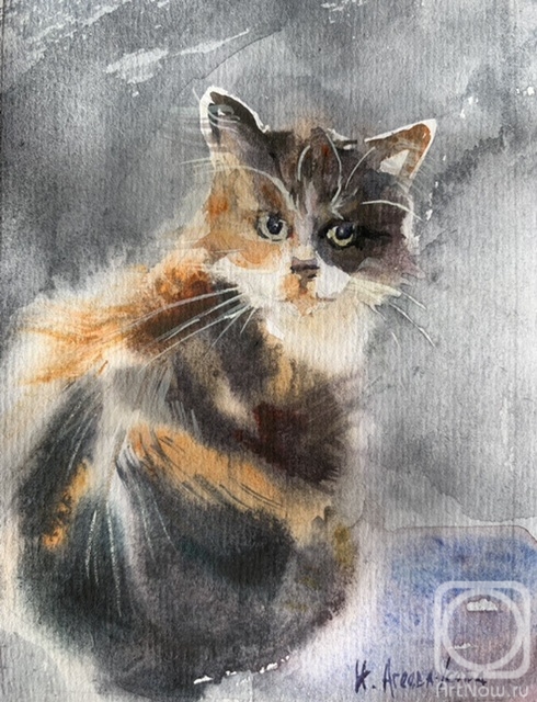 �������. ������-����� �����. ����������, �������