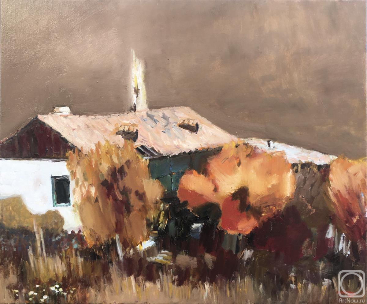 Dymant Anatoliy. The old house of the village of Uskut