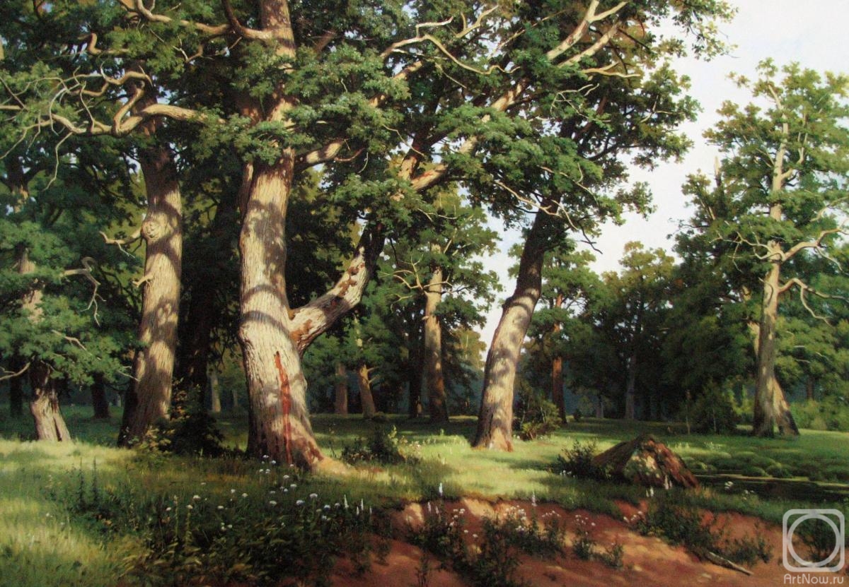 Grigoriev Ruslan. Oak grove