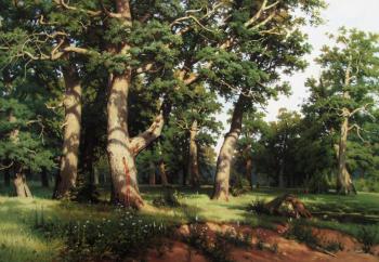 Oak grove. Grigoriev Ruslan