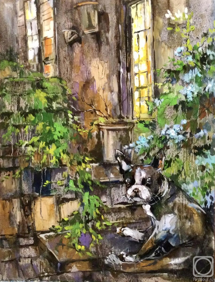 ������� ������ �� ������. ������ ����. �������� ����� � ������