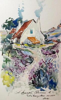 House in lavender fields