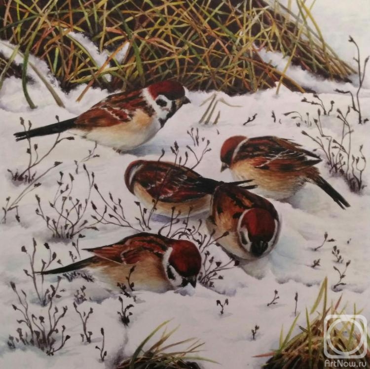 �������. ��������� ����. �� �������������