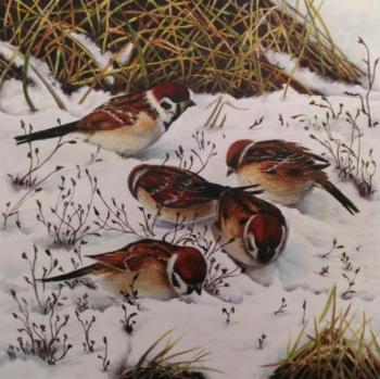 Sparrows. Kosmynina Juliya
