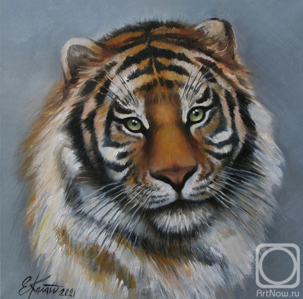 ������� ������ �� ������. ����������� �����. ���� - ������ 2022 ����