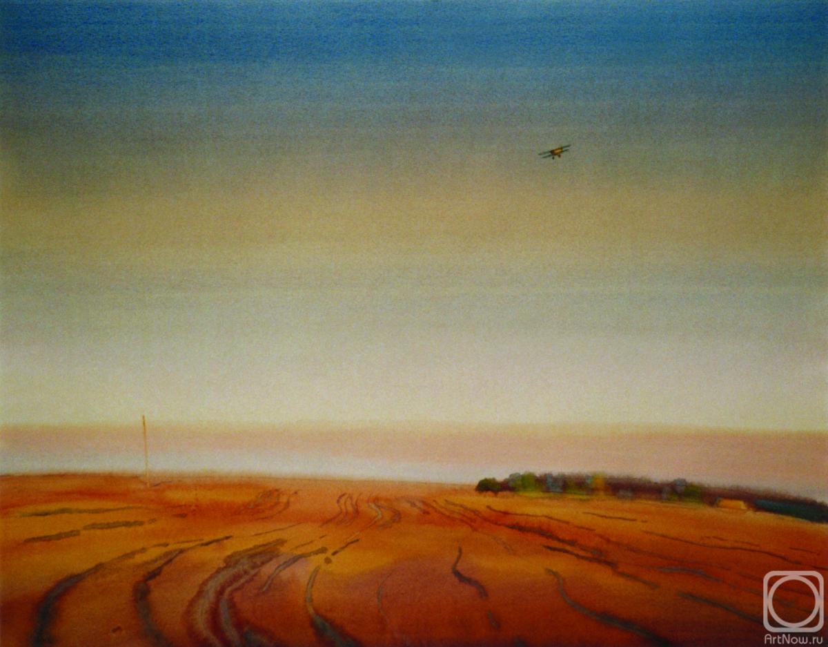 Shkalin Vladimir. Landscape with an airplane