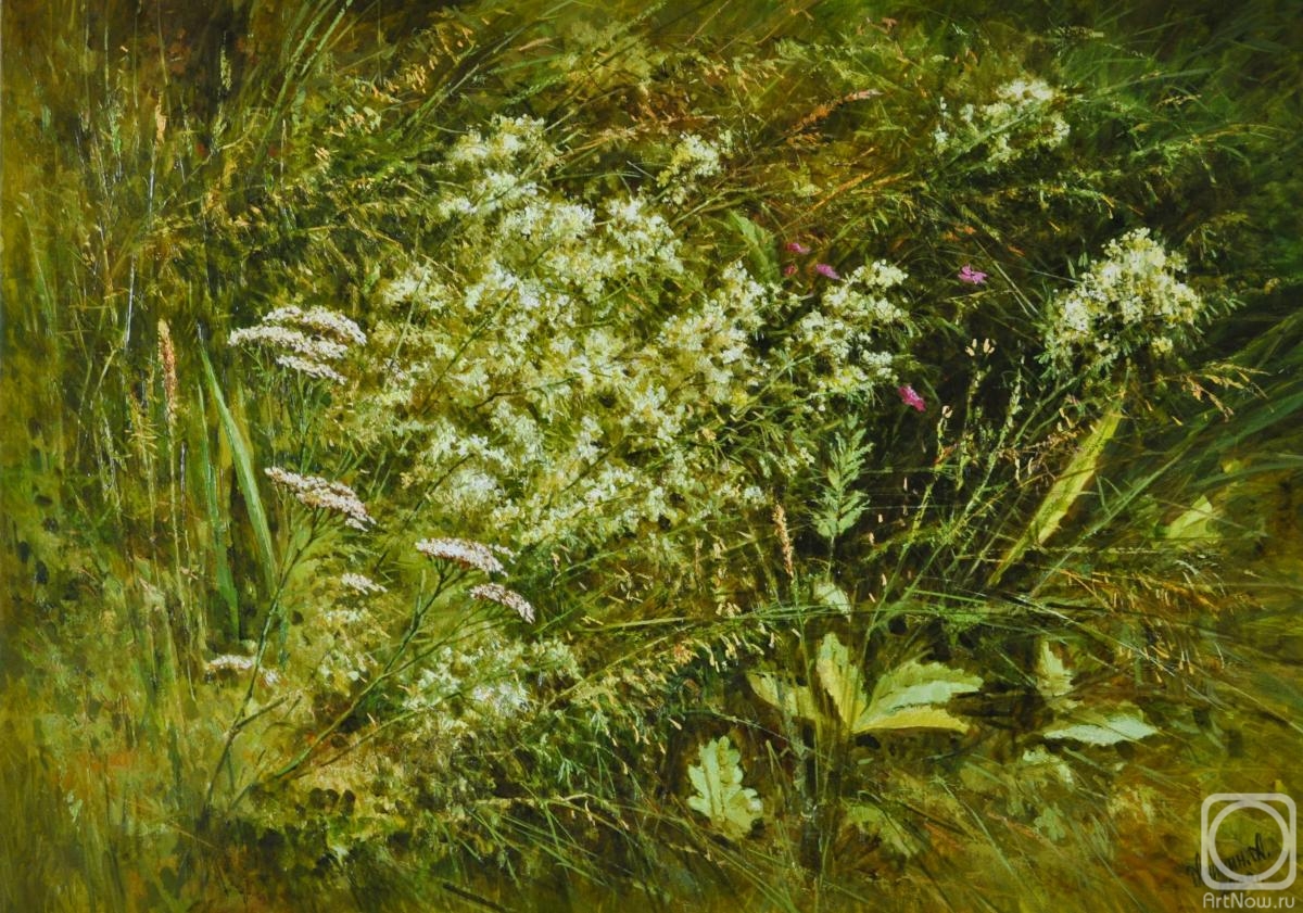 ������� ������ �� ������. ������ �������. ��������� � ����� �����