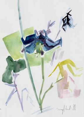 ������ ������