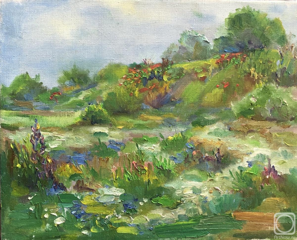 Rozhina Lilia. Poppies on the Sujuk Spit