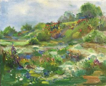 Poppies on the Sujuk Spit