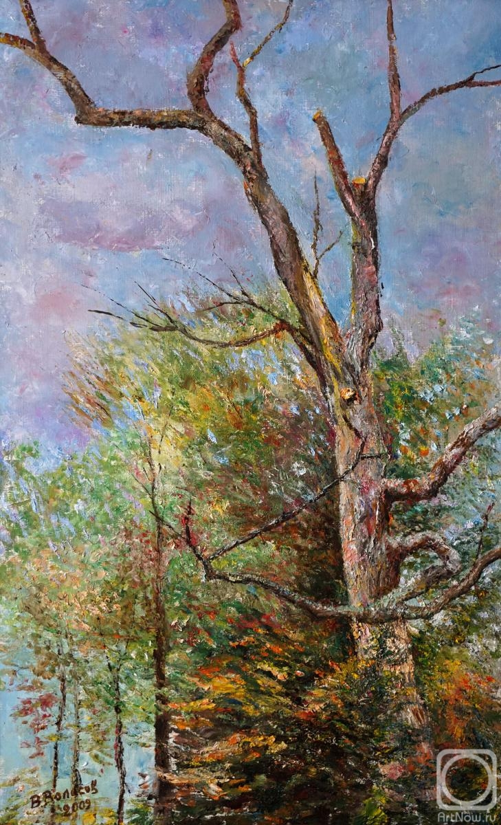 Volosov Vladmir. Landscape with dead tree