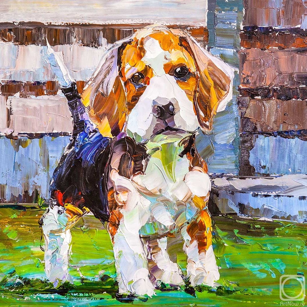 ������� ������ �� ������. �������� ����. �����. ������ ���� N2