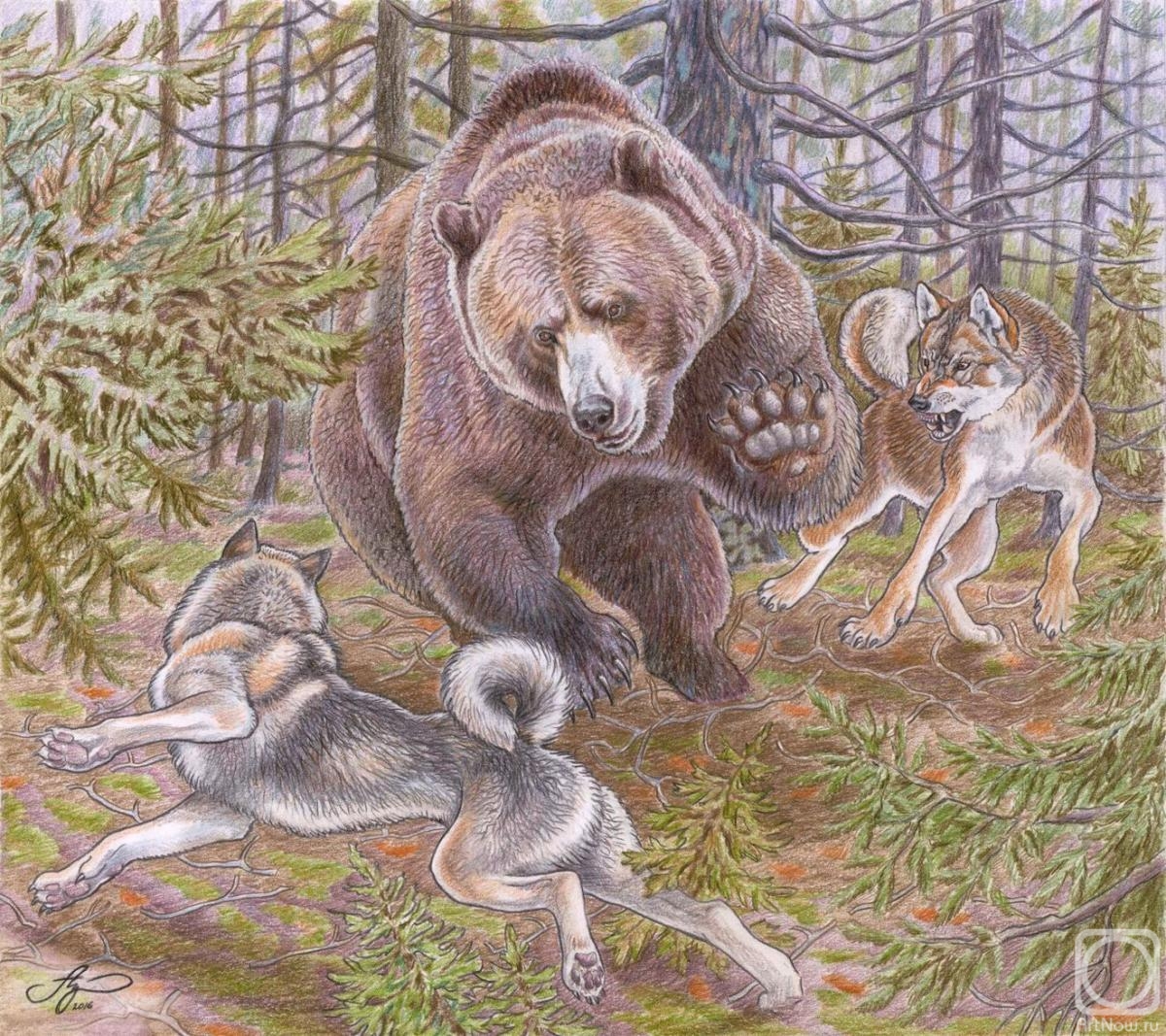 Shkurko Anton. Dogs hunt a bear