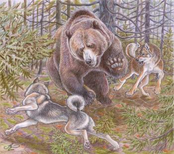 Dogs hunt a bear. Shkurko Anton