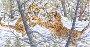 Amur tigers. Shkurko Anton